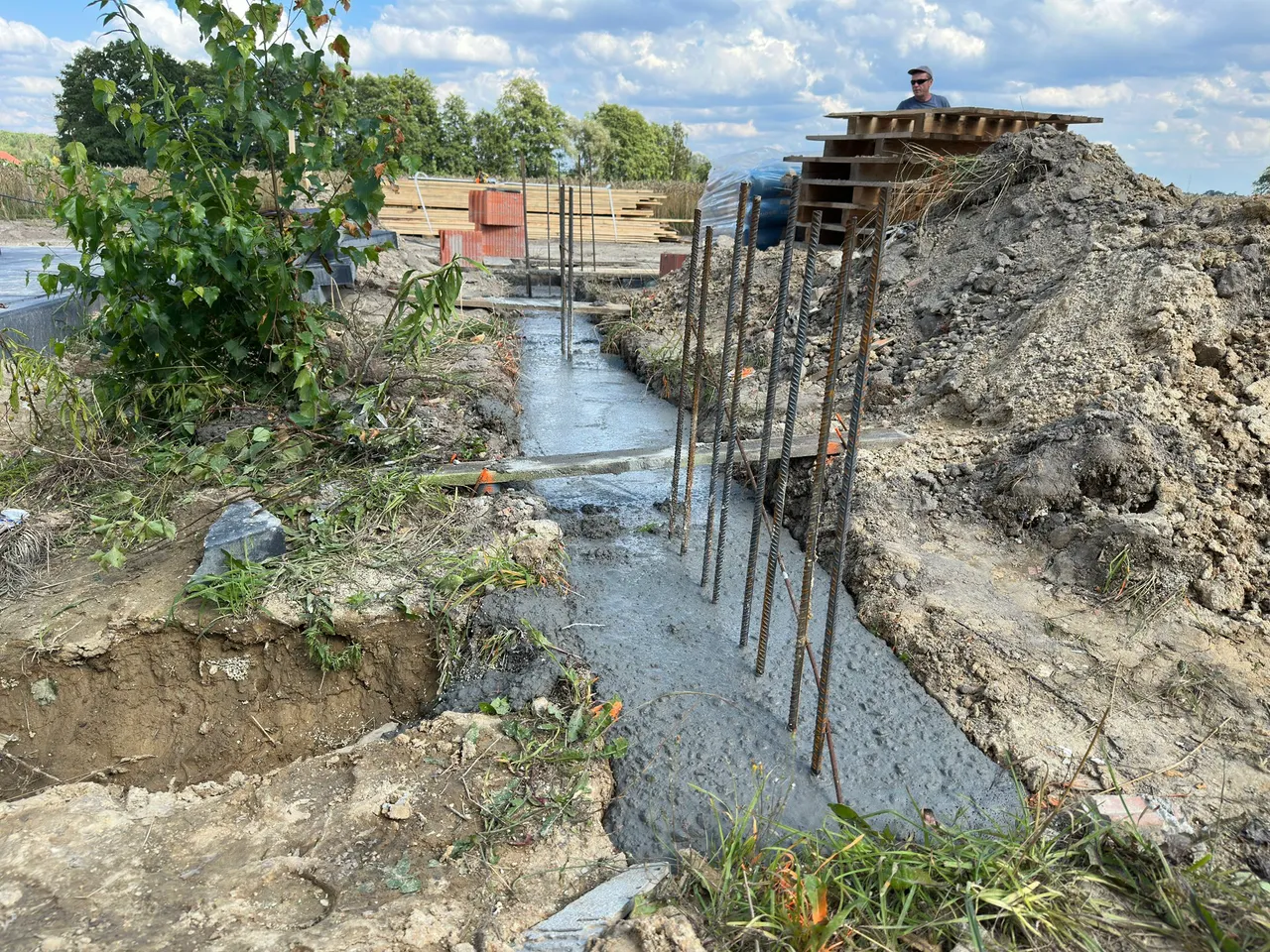 florentynów ogrodzenie — zdjęcie 10
